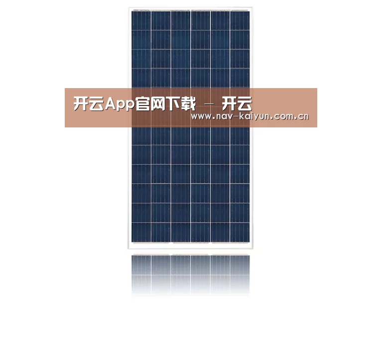 产品名称一
