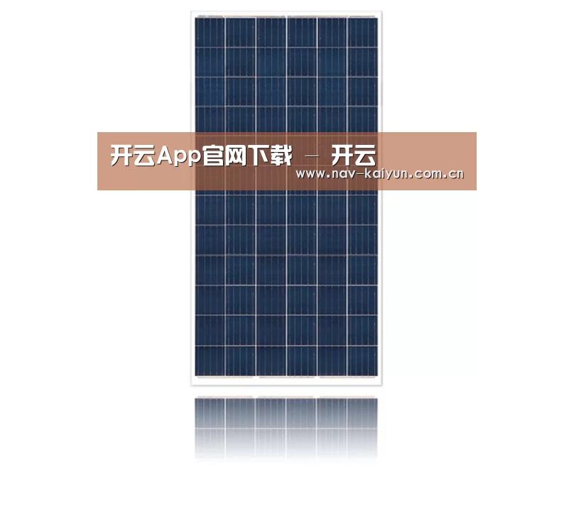 产品名称一